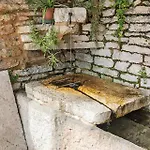 Gorgusello * Molina