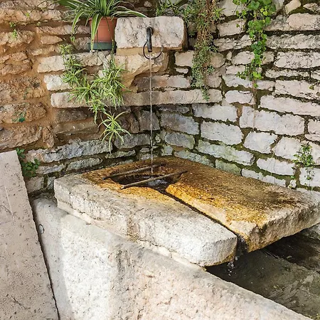 Gorgusello * Molina (Verona)